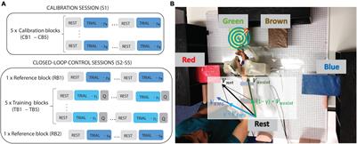 Real-Time Control of a Multi-Degree-of-Freedom Mirror Myoelectric Interface During Functional Task Training